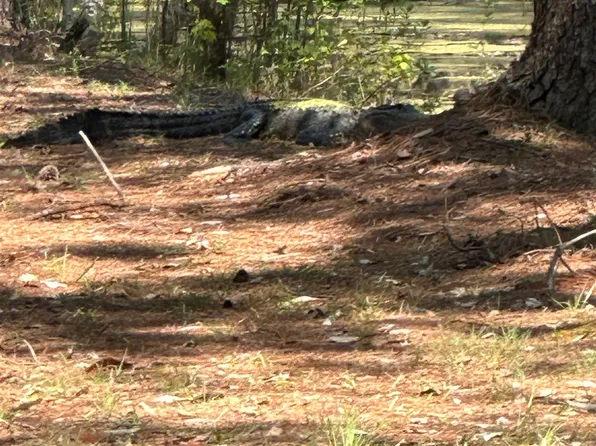 S Quitman N Us #221, Greenville, FL 32331