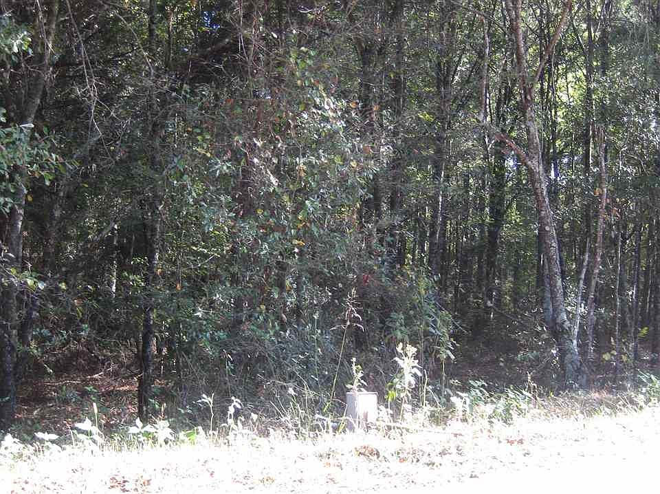 2nd image of 782 Clark Rd