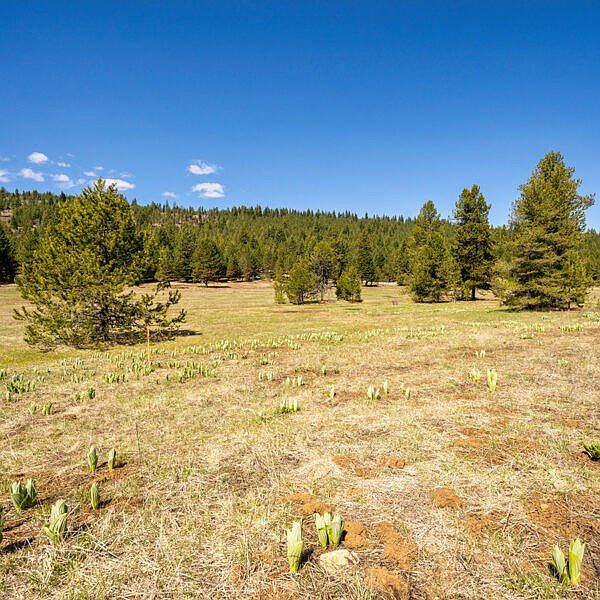 2nd image of 32 To Be Determined