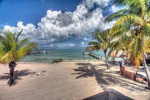 Beach & Bay