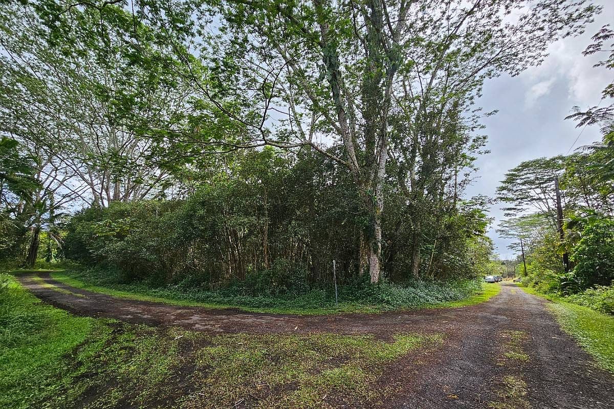 445 Mauna Kea Rd, Pahoa, HI 96778 Zillow