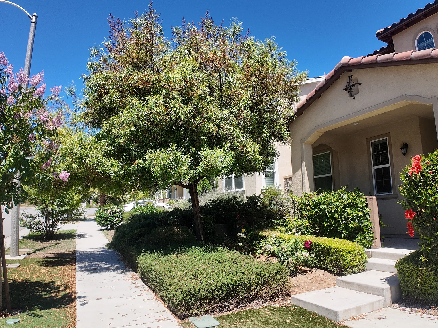 4 bed, 3.5 bath, 2787 sqft, $4,100 — Photo 2