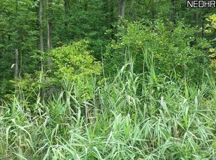 Lenox New Lyme Rd, Jefferson, OH 44047