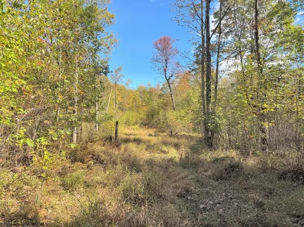 Berger Rd, Bruceton Mills, WV 26525