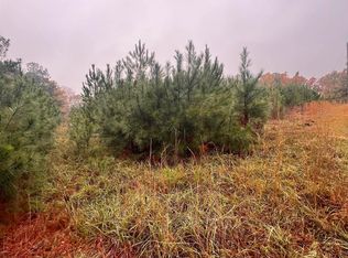 1312 Sparks Gap Rd #0, Bessemer, AL 35020