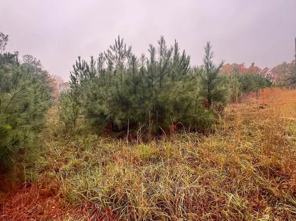 1312 Sparks Gap Rd #0, Bessemer, AL 35020