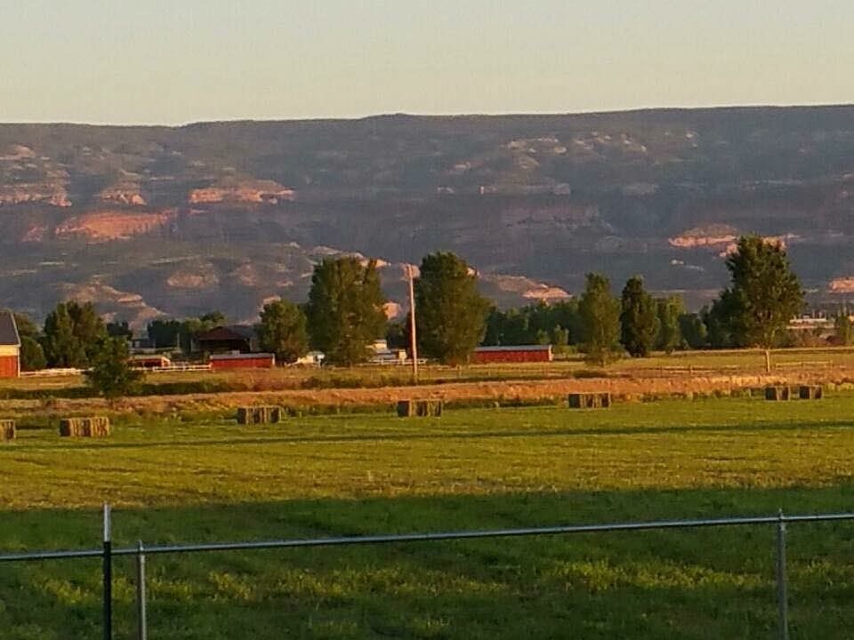 View from Back Patio