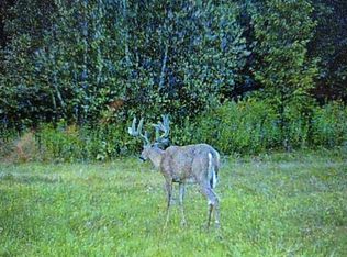 M11l11 Sheepskin Rd, Springfield, ME 04487