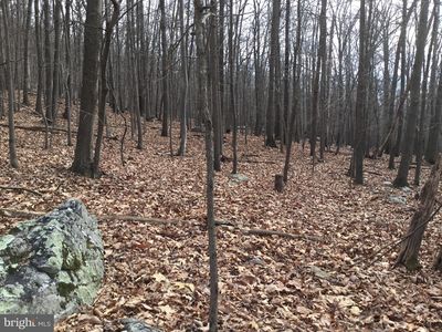 Alta Vista Dr, Harpers Ferry, WV, 25425
