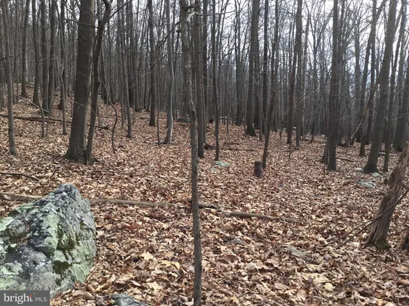 Alta Vista Dr, Harpers Ferry, WV 25425