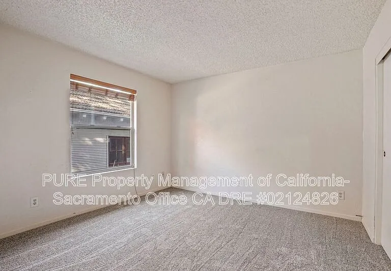 317 U St #2 — Photo 14