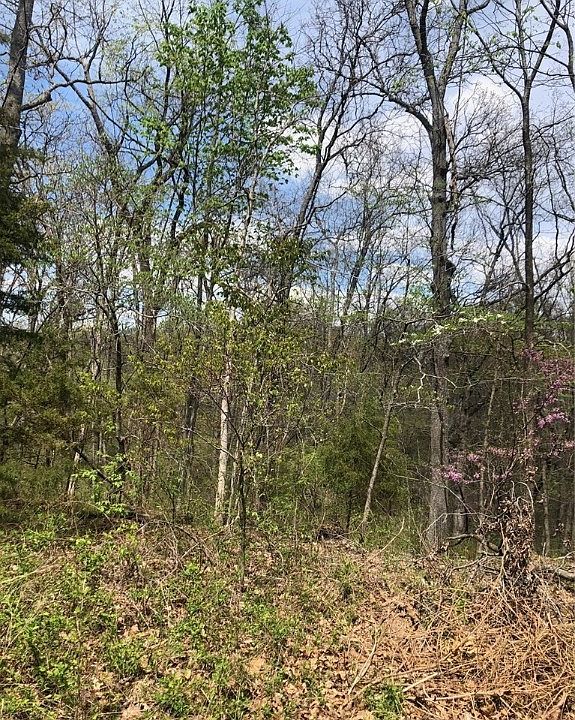 1st image of Taunton Ln #19