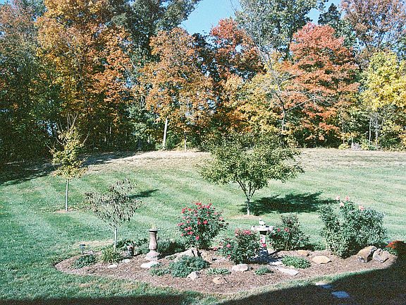 Back line of yard in Fall