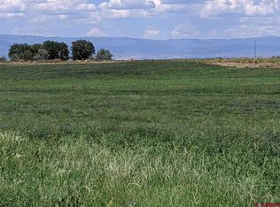 1263 1300th Rd, Delta, CO 81416