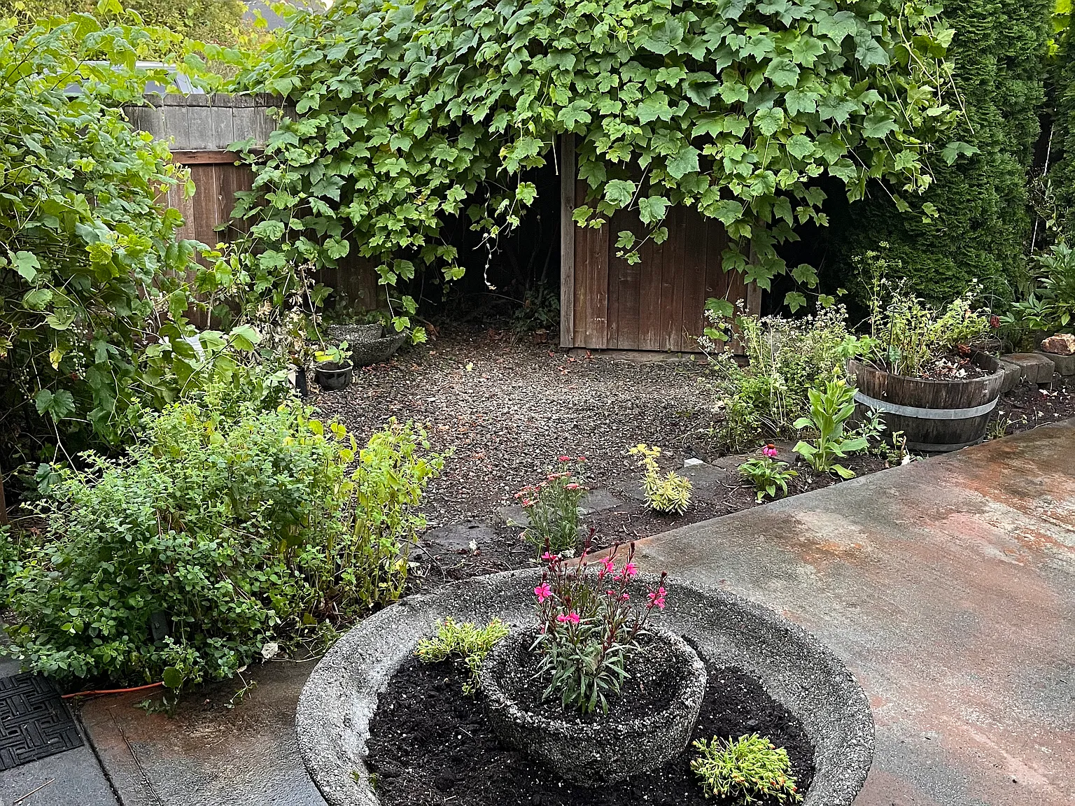 2 bed, 1200 sqft, $2,200 — Photo 4