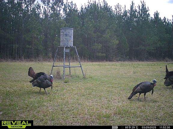 2nd image of 0 Wee Tee Rd