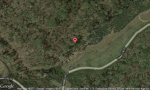 Map View