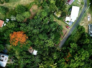 Bo Cacao Bajo Sec, Patillas, PR 00723