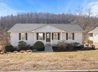 231 Mountain View Dr, Mt Carmel, TN 37645