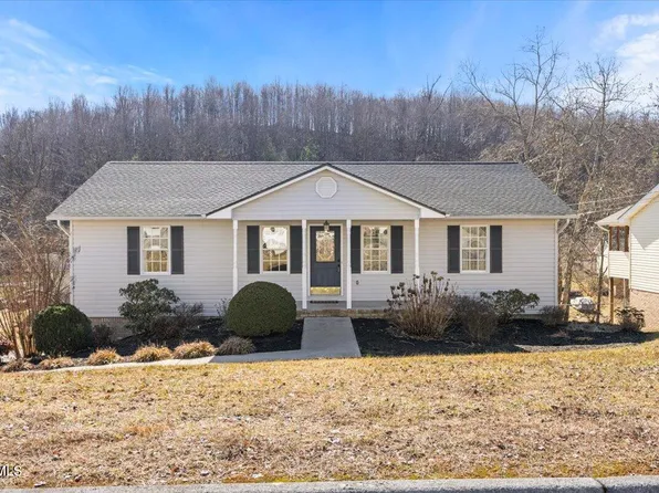 231 Mountain View Dr, Mt Carmel, TN 37645