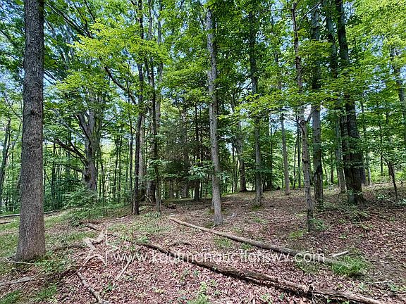 3rd image of Mulberry Ridge Rd