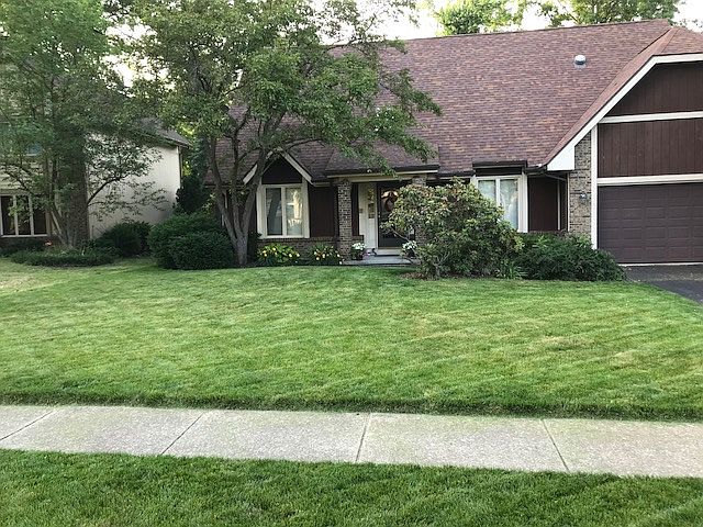 Notice that lawn cut!