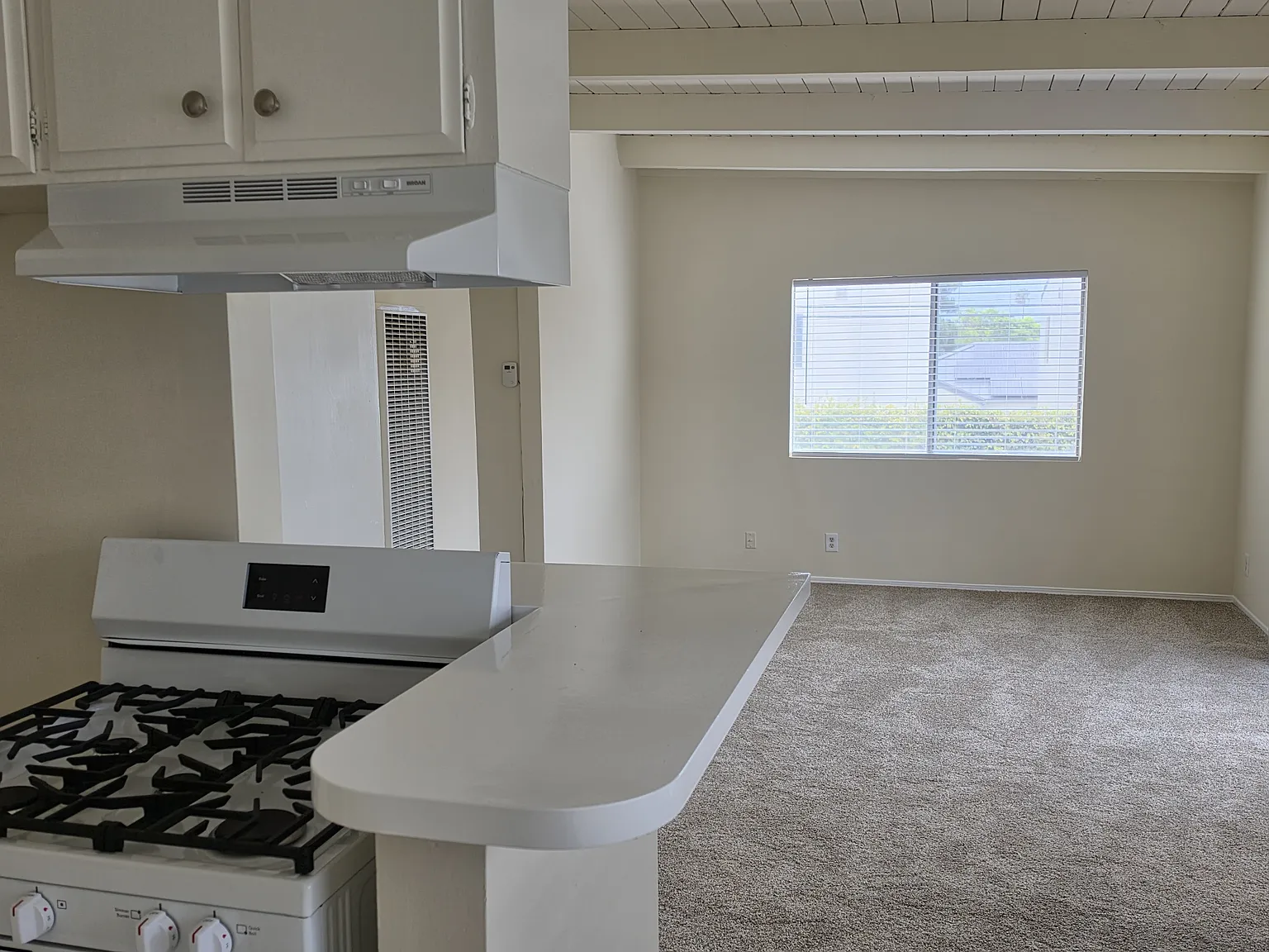 2 bed, 700 sqft, $2,350 — Photo 1
