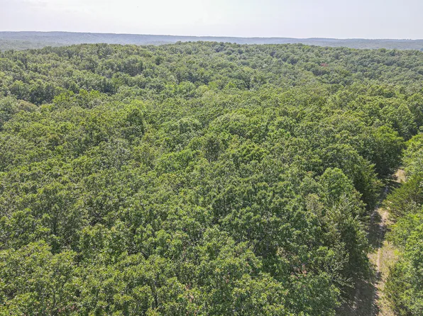 Lot 90 Buck Mountain, Cross Timbers, MO 65634