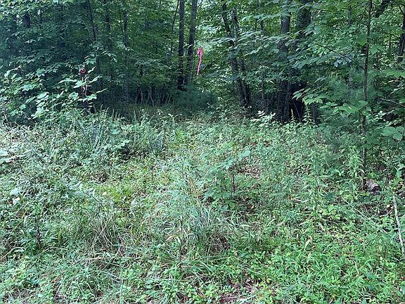 5th image of 0 Olive Hill Rd