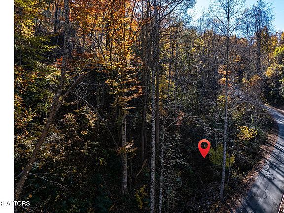 3rd image of 1032 Deep Hollow Rd