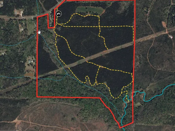 Johnson Mill Rd, Hamilton, GA 31811