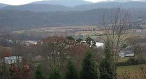 5th image of 424 Lynchburg Ln