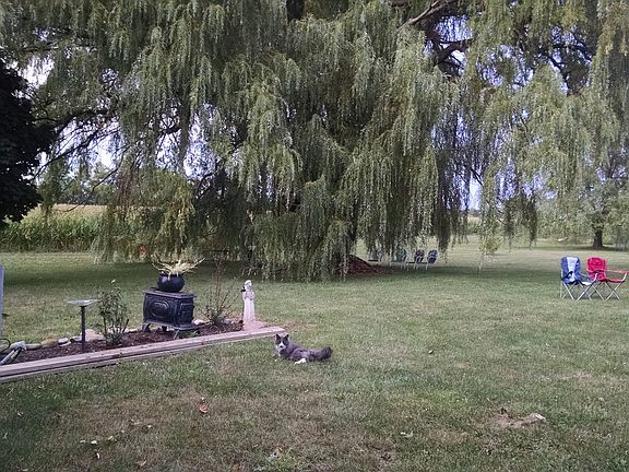 North view from patio