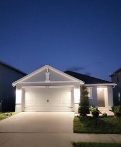 12132 White Cypress Pl, Riverview, FL, 33569