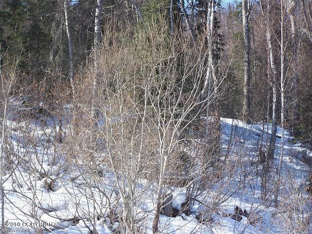 2nd image of 21787 W Point Mackenzie Rd