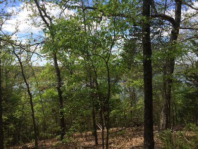 Railroad Cut Rd, Rogers, AR, 72756