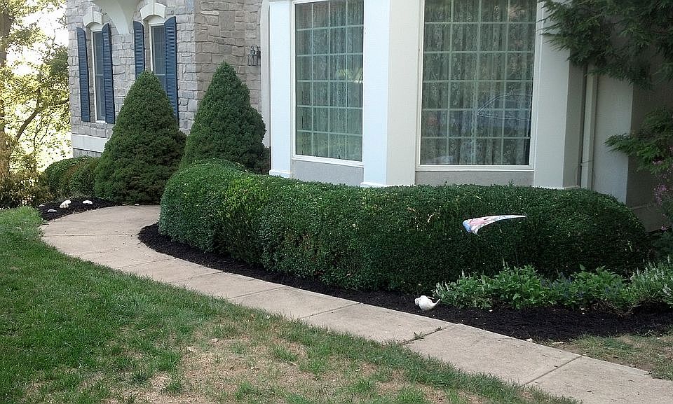 2nd image of 2679 Ridge Rd