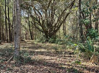 1667 Blues Ln, Edisto Island, SC 29438