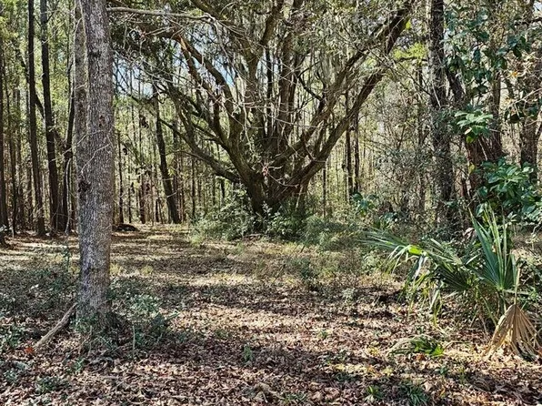 1667 Blues Ln, Edisto Island, SC 29438