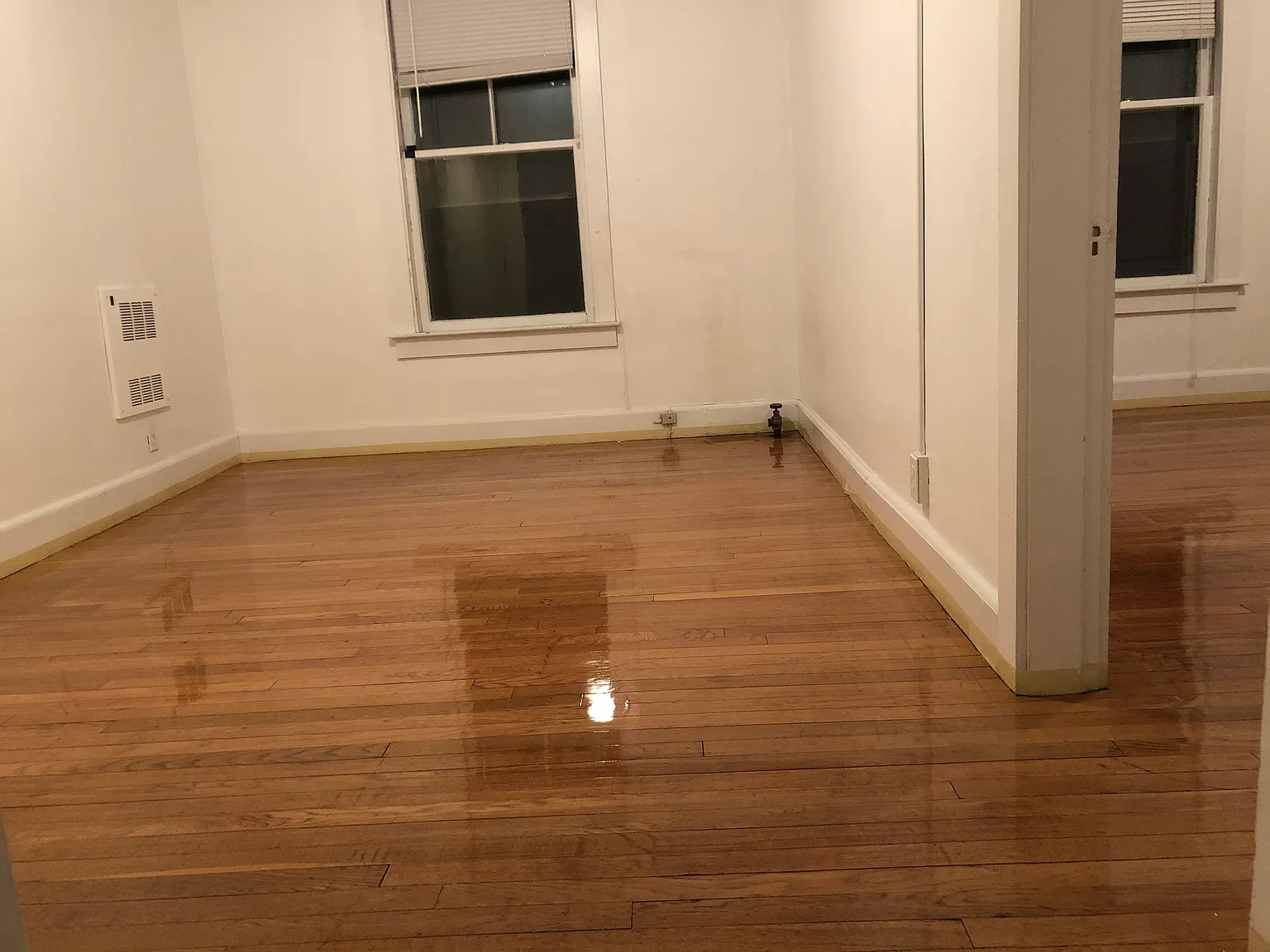 1 bed, 550 sqft, $1,495 — Photo 4