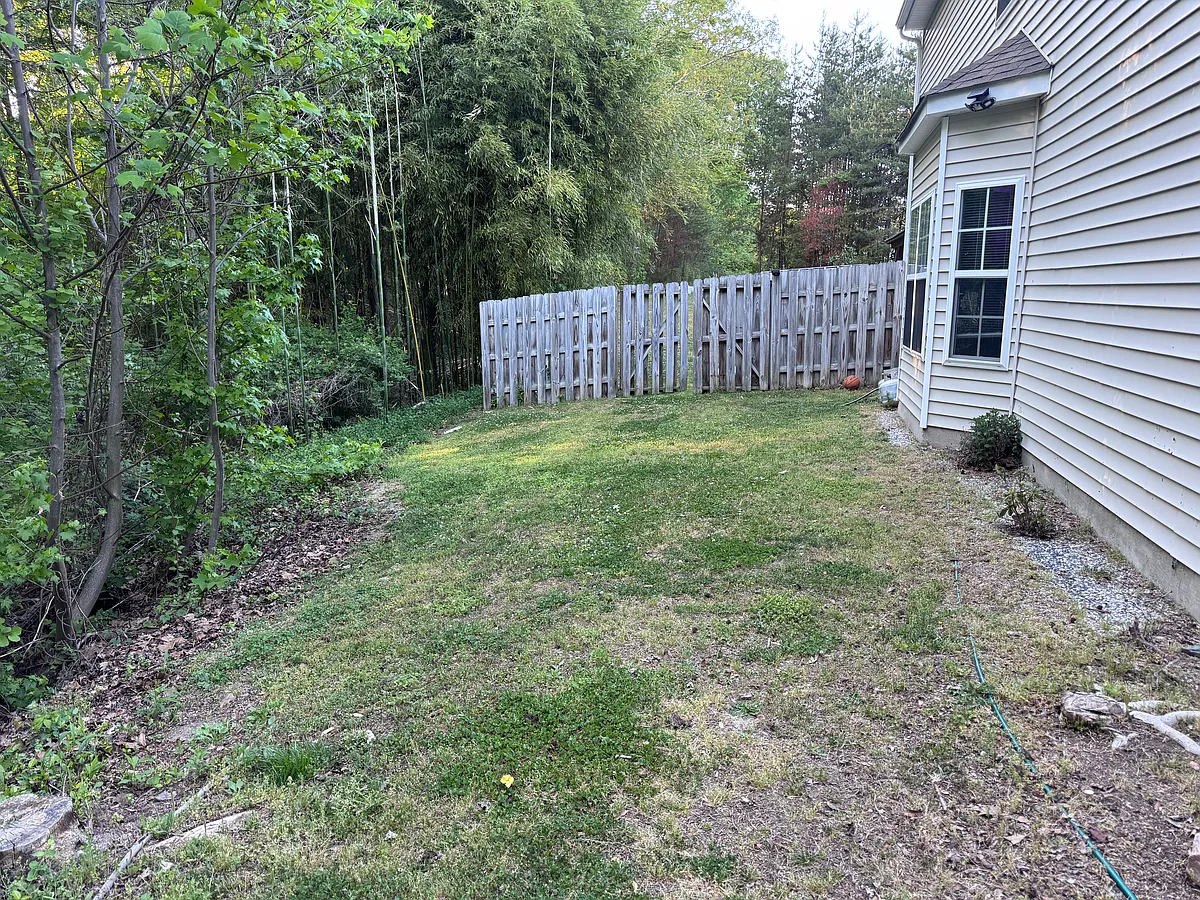 Side Yard (Backs up to wooded area - no neighbors) - 808 Celtic Crossing Dr