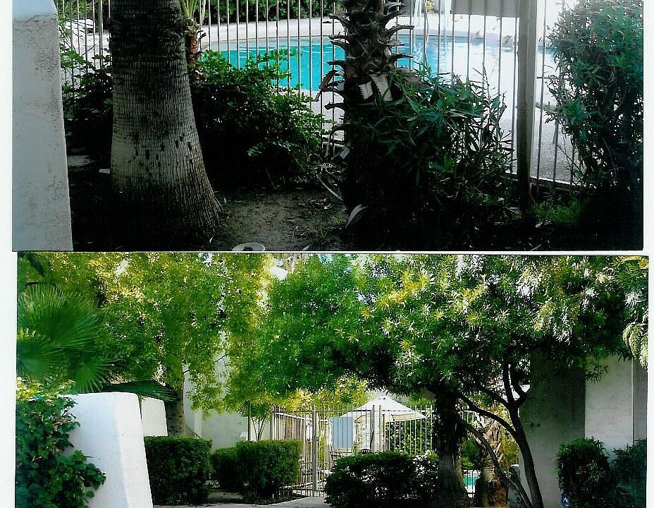 view from porch