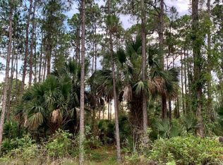 262 Olin Rd SW, Palm Bay, FL 32908