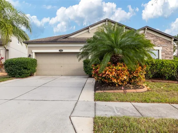 11528 Palmetto Pine St, Riverview, FL 33569