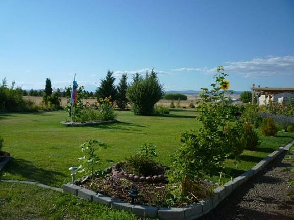 Back yard