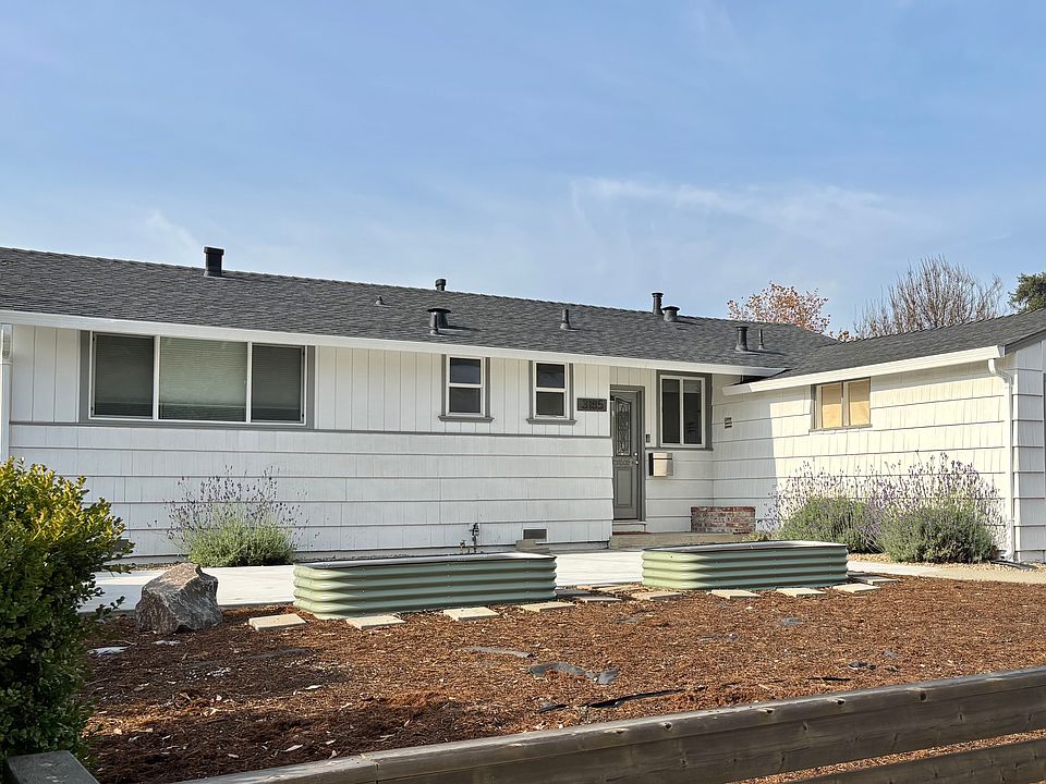 Gardener's delight, with raised beds and paved area.