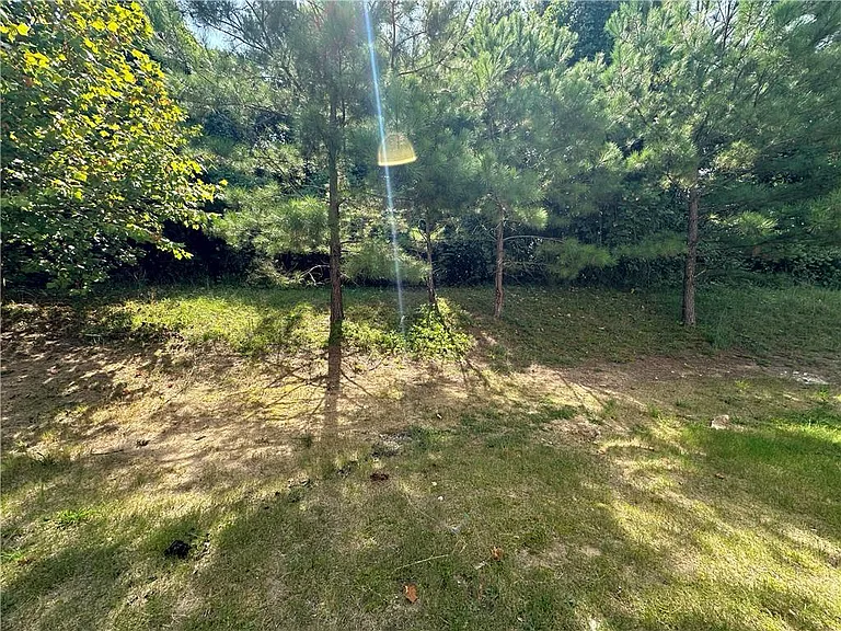 1129 Ida Woods Ct — Photo 27