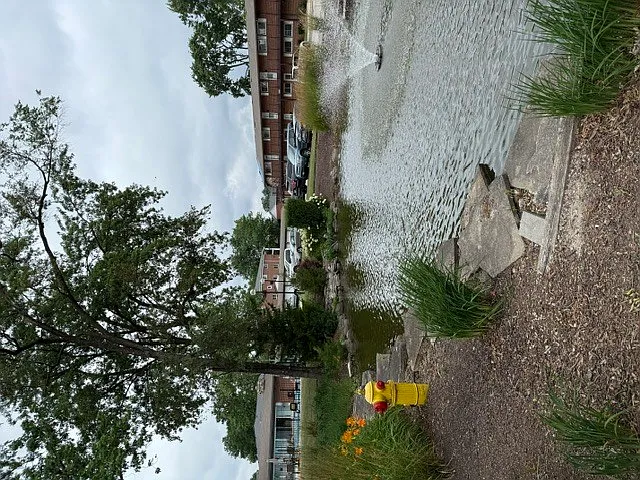 1900 W Knightsbridge Dr #2A — Photo 11
