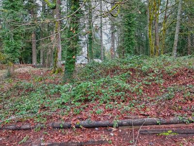 229 XX SE 312th Street, Black Diamond, WA, 98010