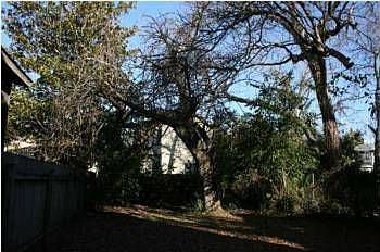 2nd image of 428 Race St
